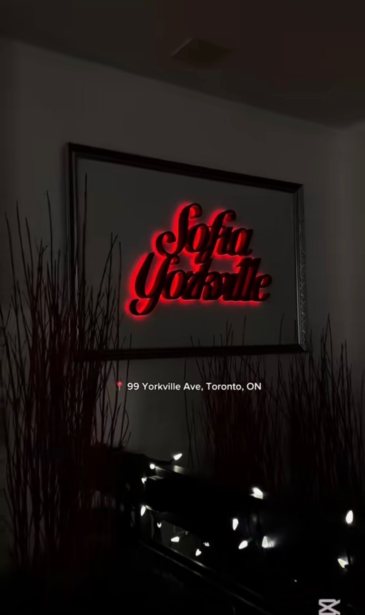Sofia Yorkville UGC content